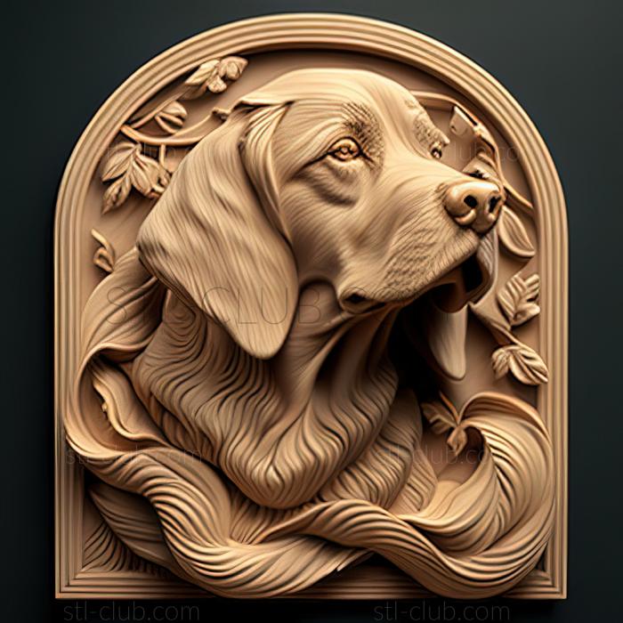 st The Hound of Artoise dog